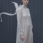 Lilijos Klim - Larionovos kolekcija